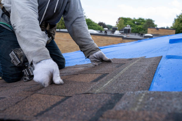 Professional Roofing Contractor in Edgerton, OH